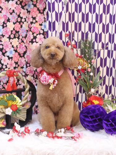 20250116マロンちゃん